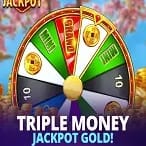 Triple Money Jackpot™ Gold! icon